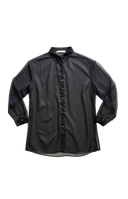 Vintage Sheer Blouse